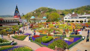 Du lịch Hàn Quốc tháng 7 để trải nghiệm một Hàn Quốc xanh tươi đầy màu sắc