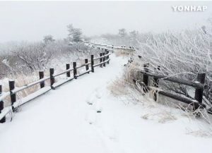 Tuyệt cảnh mùa đông trên núi Sobaek (소백산) và núi Deogyu (덕유산)